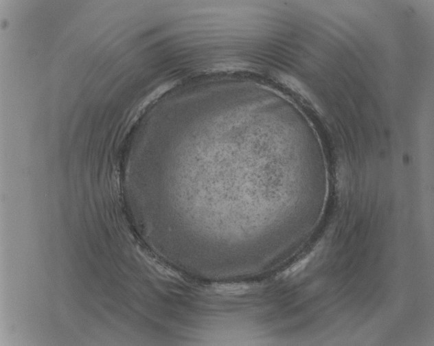 X0000074340825200609082055