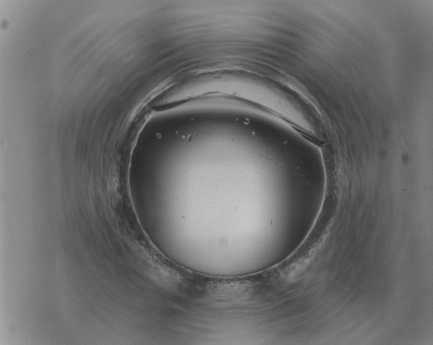 X0000074340826200609082055