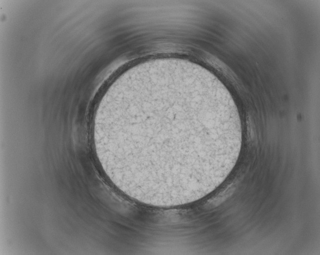 X0000074340828200609082055