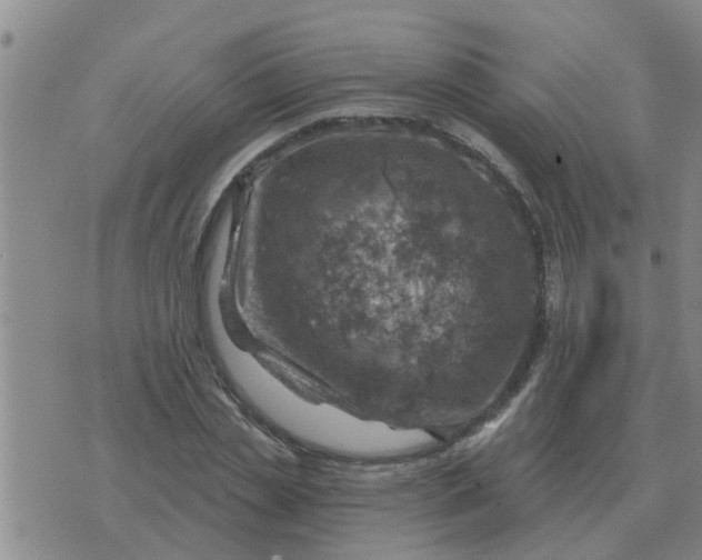 X0000074340829200609082055