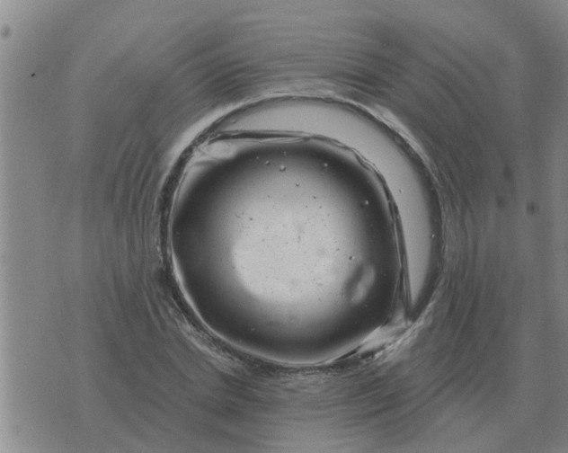 X0000074340830200609082055