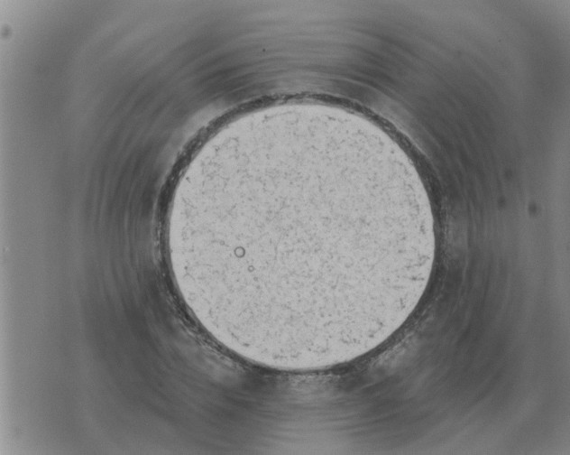 X0000074340832200609082055