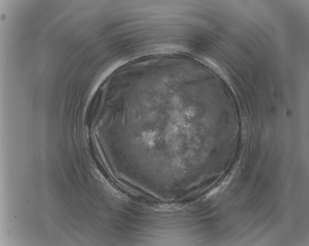 X0000074340835200609082055