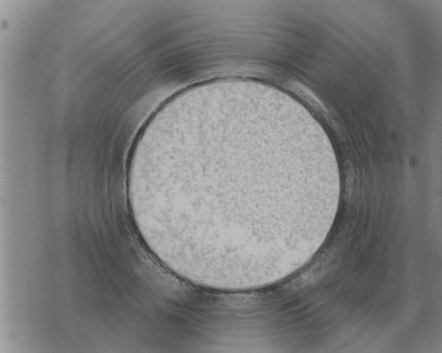 X0000074340836200609082055