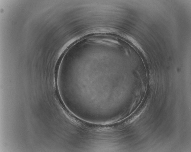 X0000074340837200609082055