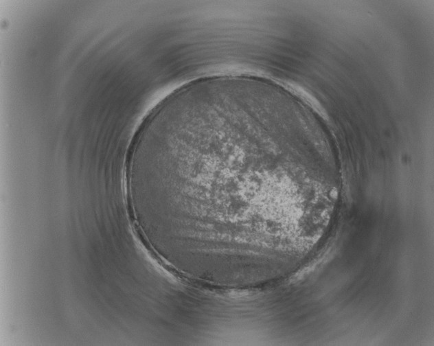 X0000074340839200609082055