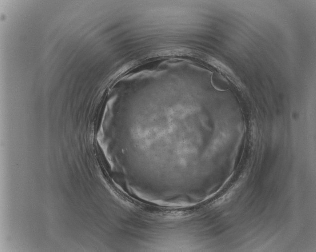 X0000074340841200609082055