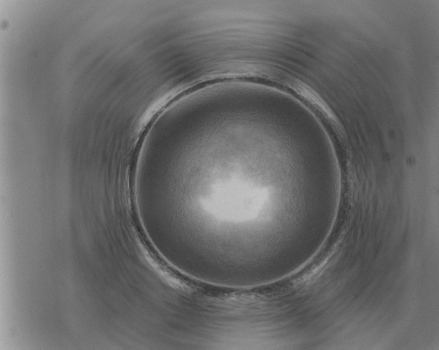 X0000074340842200609082055