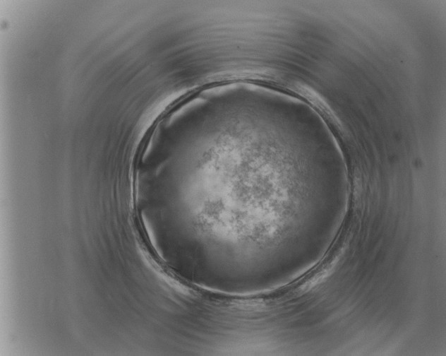 X0000074340844200609082055