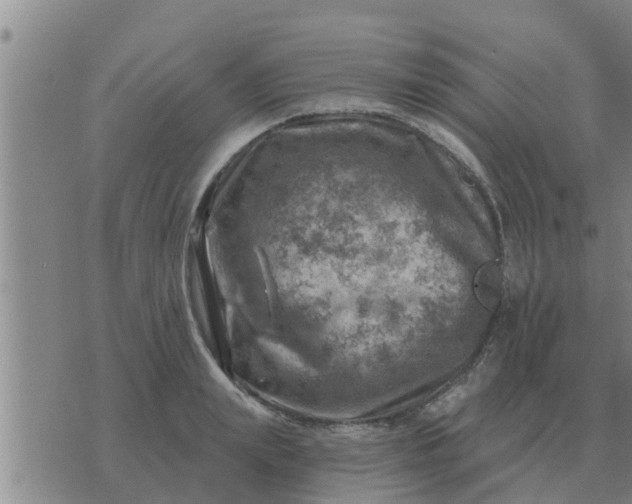 X0000074340847200609082055