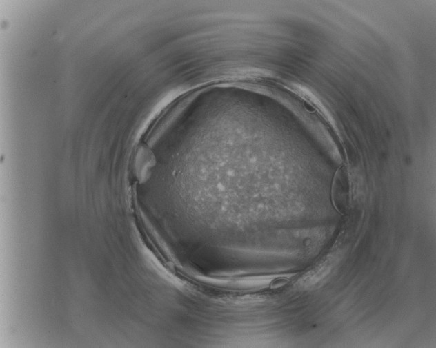 X0000074340851200609082055