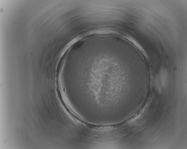 X0000074340853200609082055