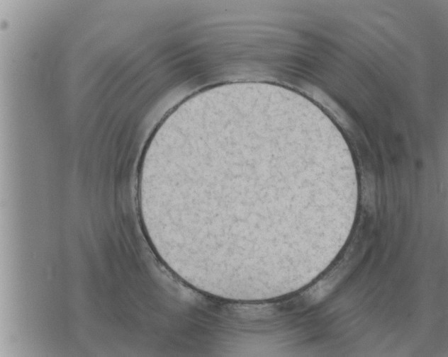 X0000074340856200609082055