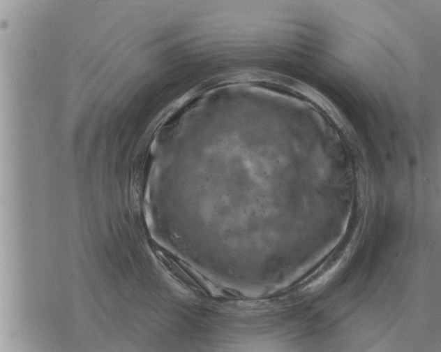 X0000074340857200609082055