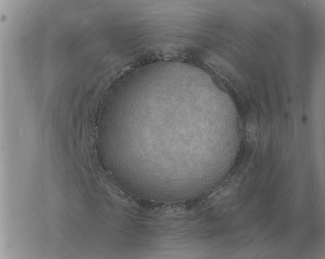 X0000074340865200609082055