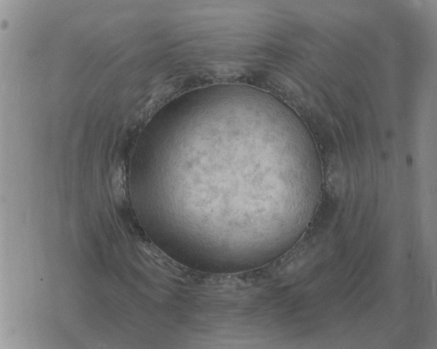 X0000074340866200609082055