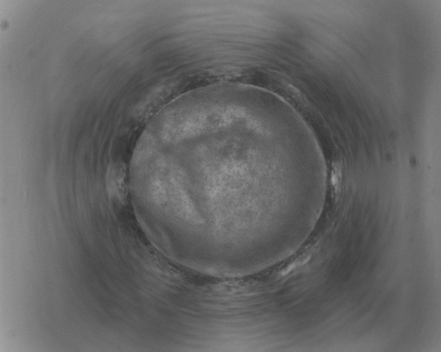 X0000074340867200609082055