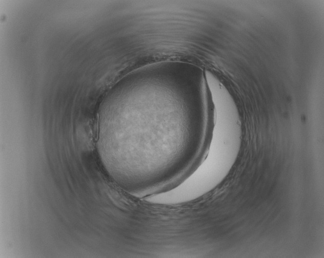 X0000074340868200609082055