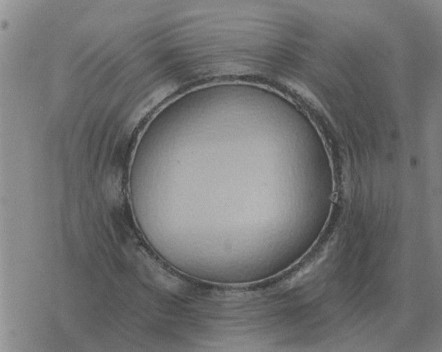 X0000074340873200609082054