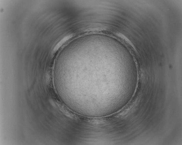 X0000074340874200609082054