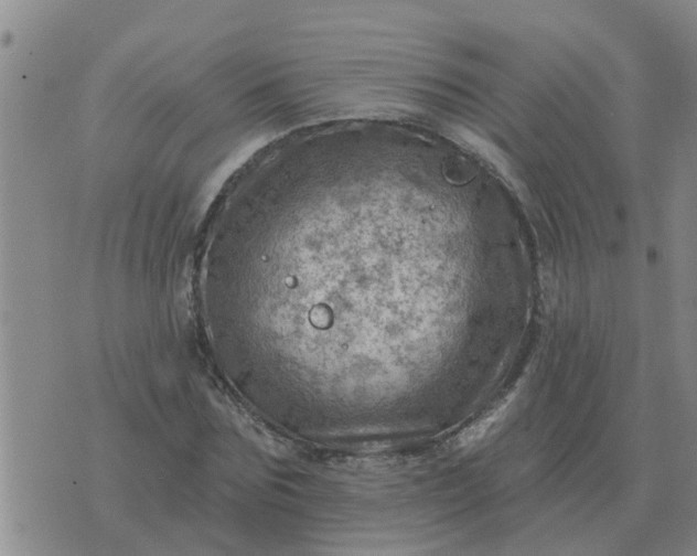 X0000074340875200609082054