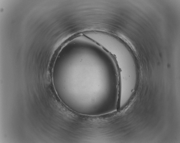 X0000074340876200609082054