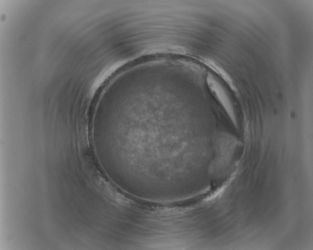 X0000074340877200609082054