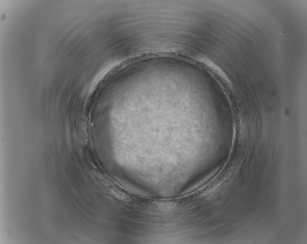 X0000074340878200609082054