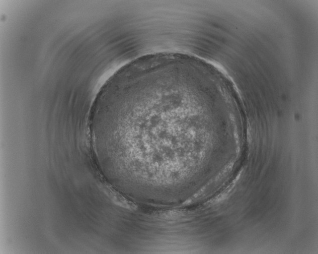 X0000074340879200609082054