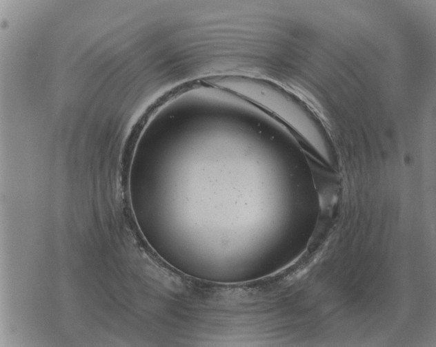 X0000074340880200609082054