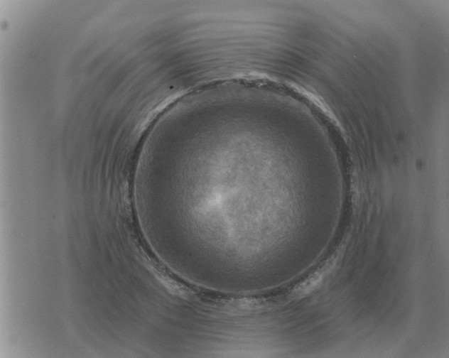 X0000074340881200609082054