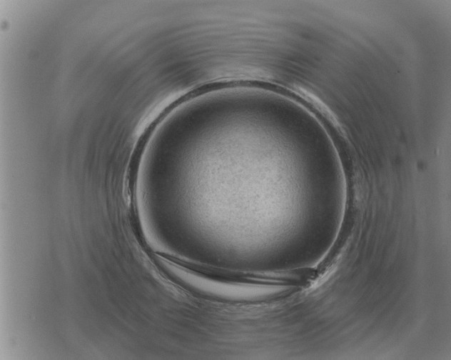 X0000074340885200609082054