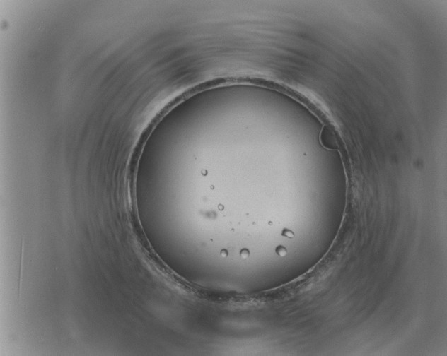 X0000074340887200609082054