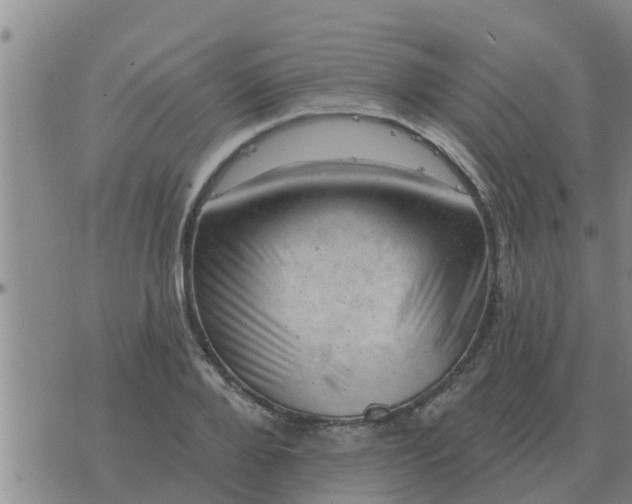 X0000074340888200609082054