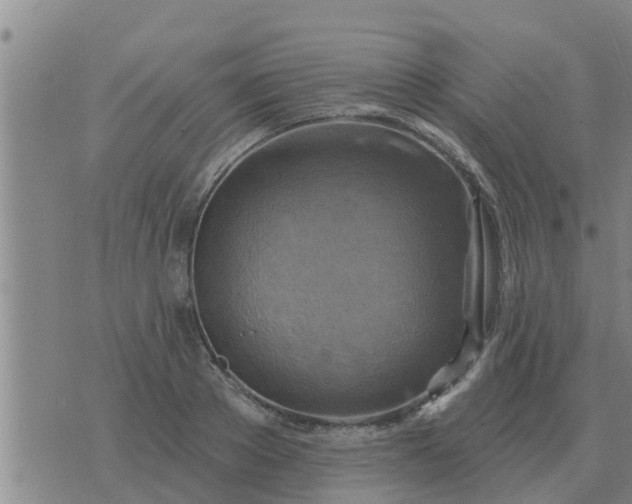 X0000074340889200609082054