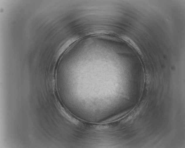 X0000074340890200609082054