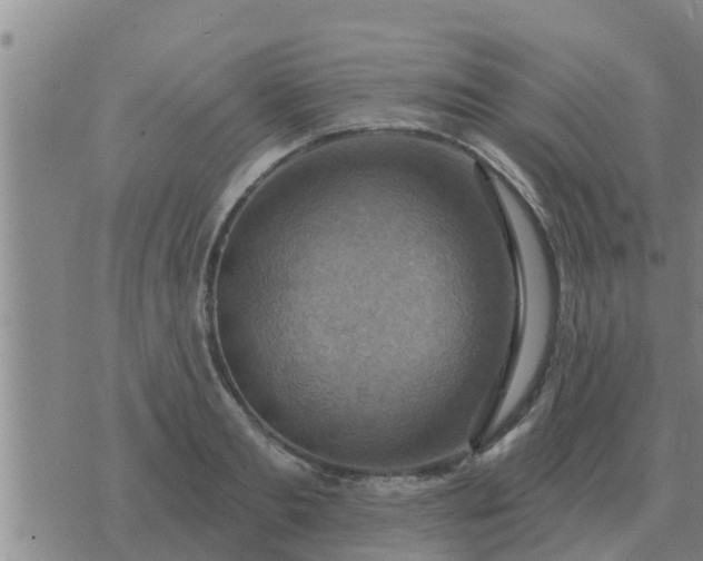 X0000074340893200609082054