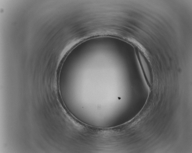 X0000074340894200609082054