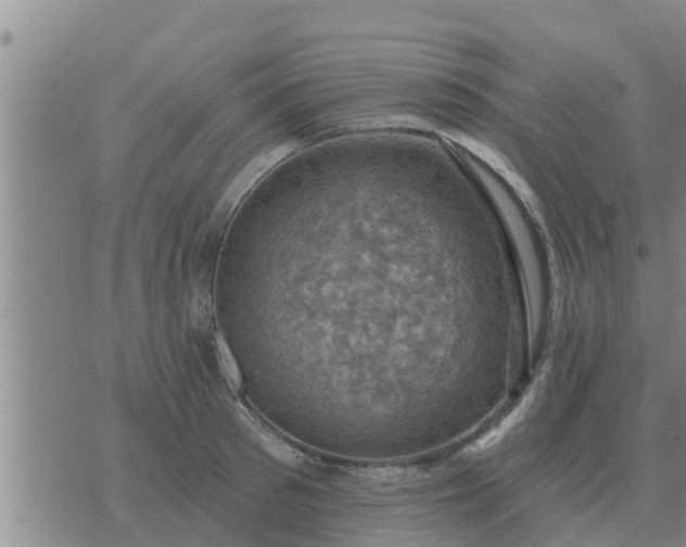 X0000074340897200609082054