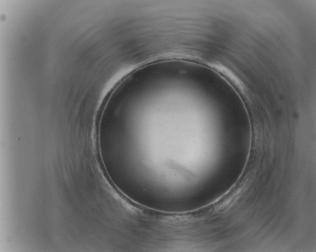 X0000074340902200609082054