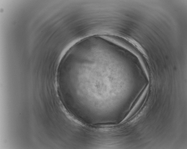 X0000074340904200609082054