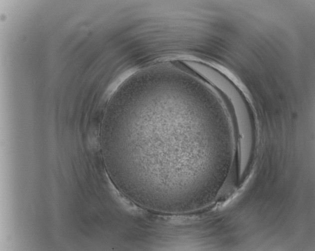 X0000074340905200609082054