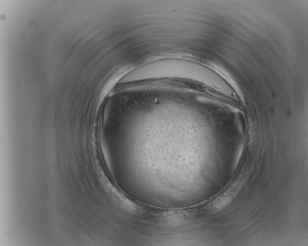 X0000074340906200609082054