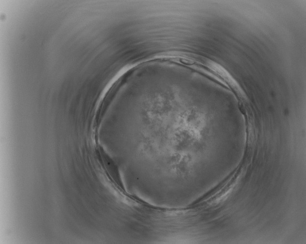 X0000074340908200609082054