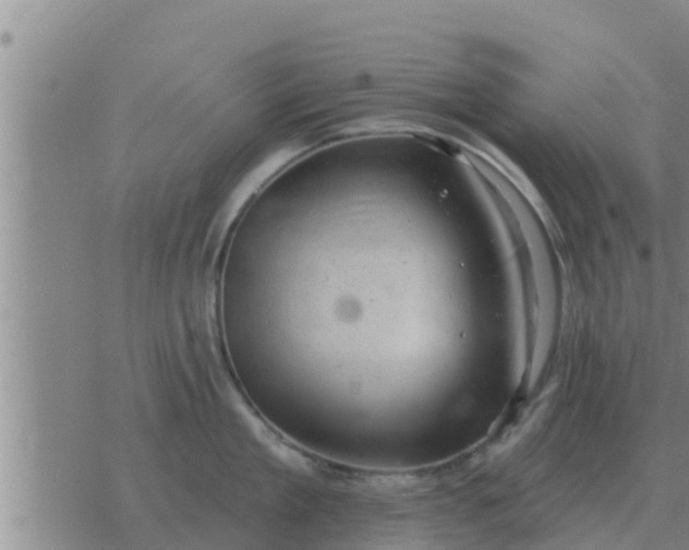 X0000074340909200609082054