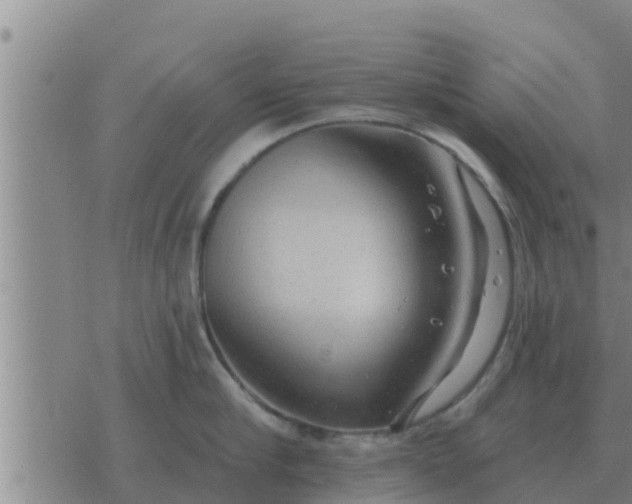 X0000074340910200609082054