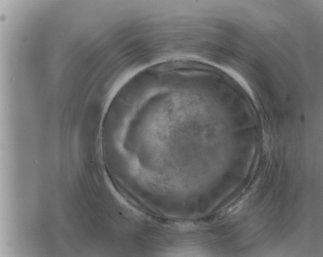 X0000074340911200609082054