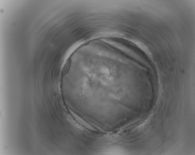 X0000074340912200609082054