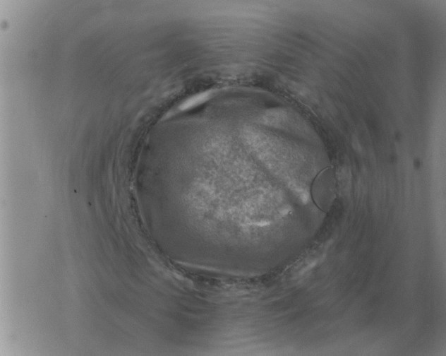 X0000074340913200609082053