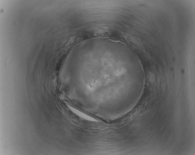 X0000074340914200609082053